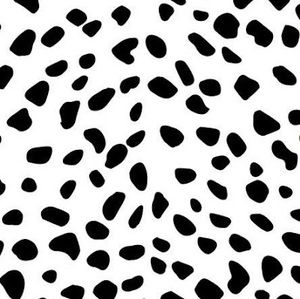 Meet your Posher, Callie